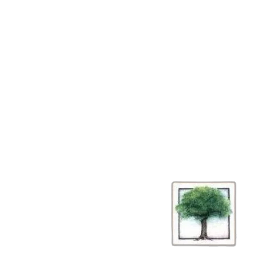 tree, furniture, crown, umbrella transparent PNG cut-out