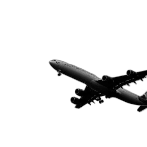 weapon, animal, staff, dragon transparent PNG cut-out