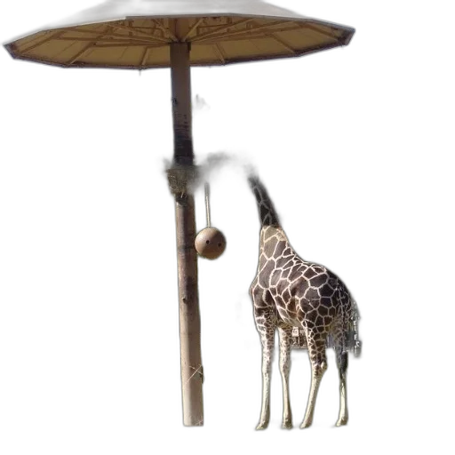 umbrella, furniture, staff, animal transparent PNG cut-out