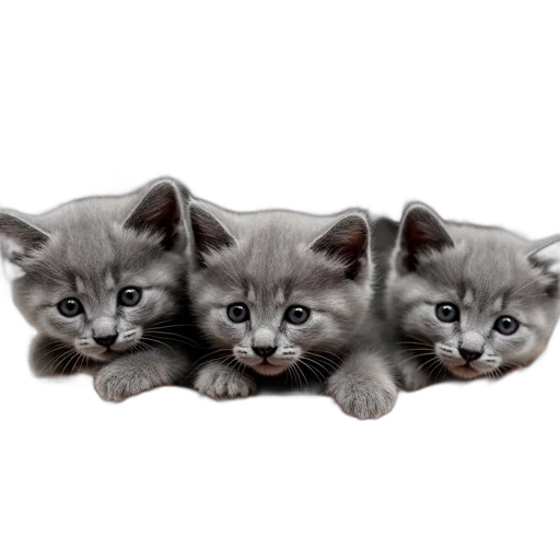 animal, photorealistic, 3d render, oil painting transparent PNG cut-out