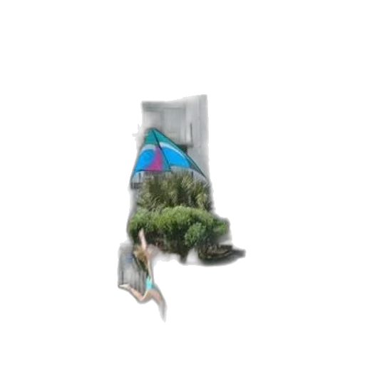 shoes, bottle, tree, umbrella transparent PNG cut-out