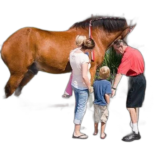 animal, creature, weapon, staff transparent PNG cut-out