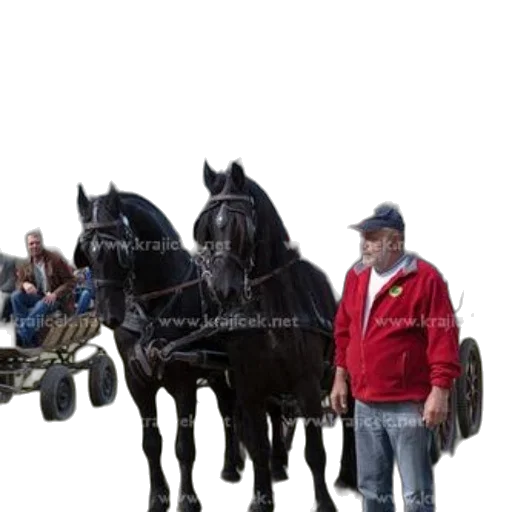 animal, furniture, car, weapon transparent PNG cut-out