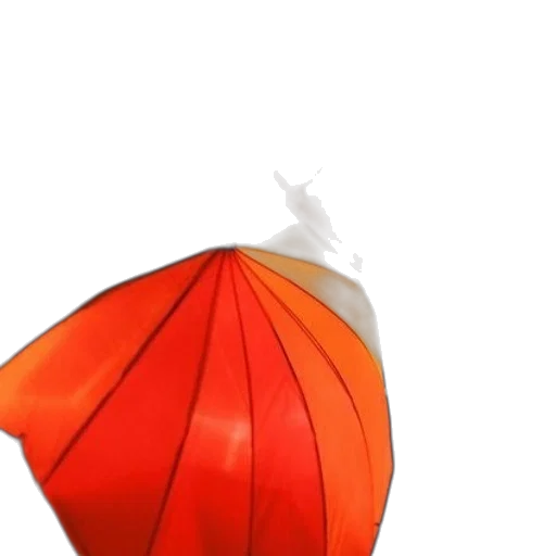 umbrella, dress, hat, flower transparent PNG cut-out