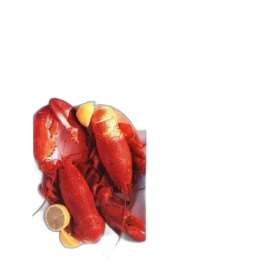 food, crown, animal, jewelry transparent PNG cut-out