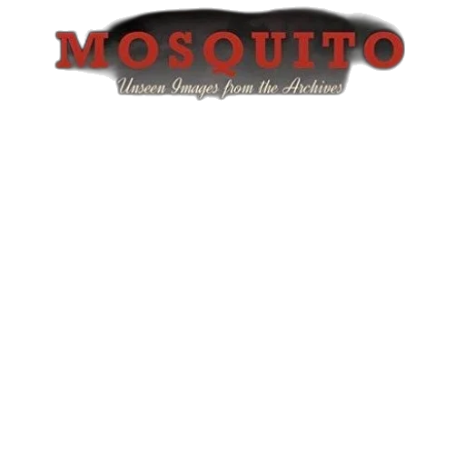 jacket, image, book, cover transparent PNG cut-out