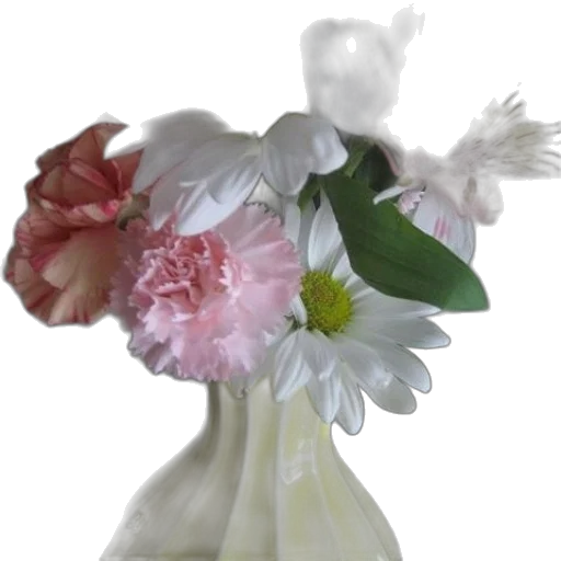 flower, crown, hat, jewelry transparent PNG cut-out