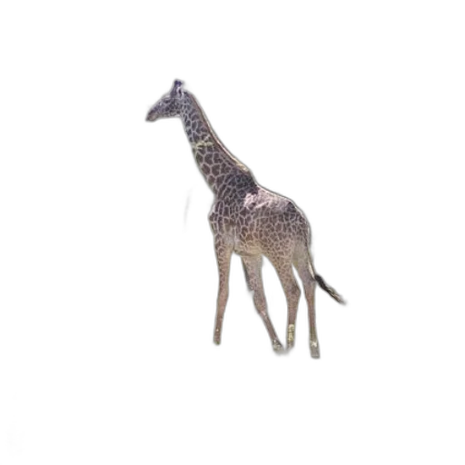 animal, creature, staff, jewelry transparent PNG cut-out