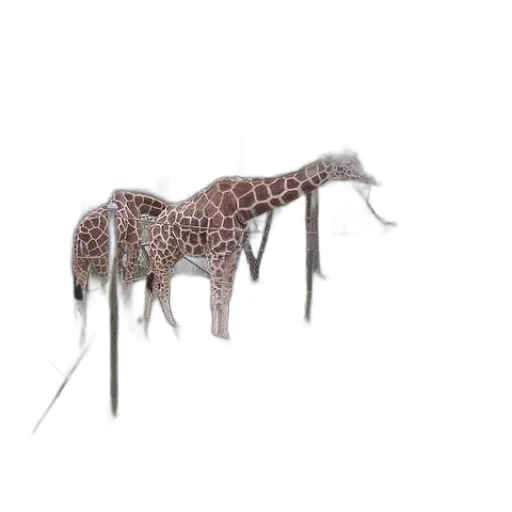 animal, creature, staff, umbrella transparent PNG cut-out