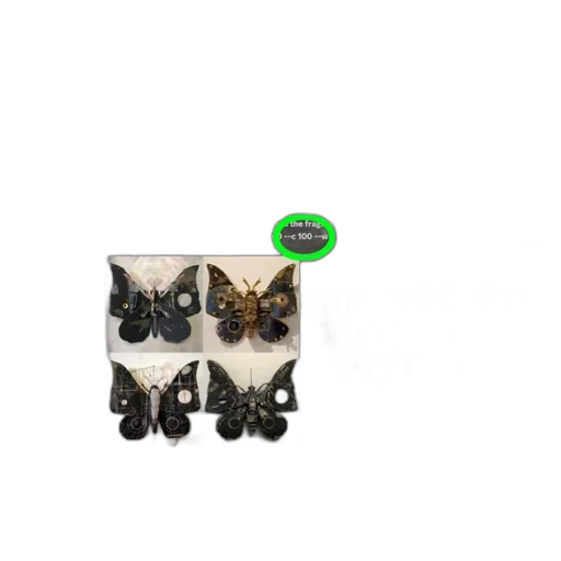 jewelry, furniture, animal, shoes transparent PNG cut-out