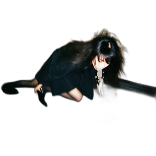 hair, animal, creature, staff transparent PNG cut-out