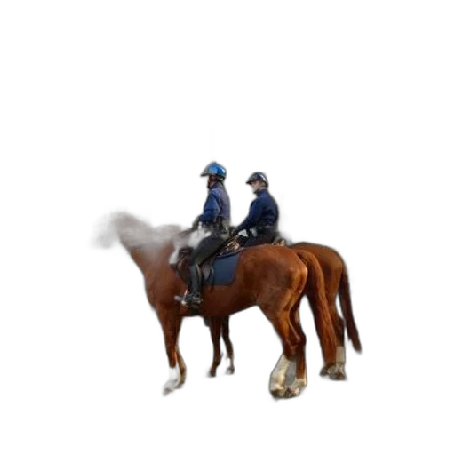 staff, jacket, animal, hat transparent PNG cut-out