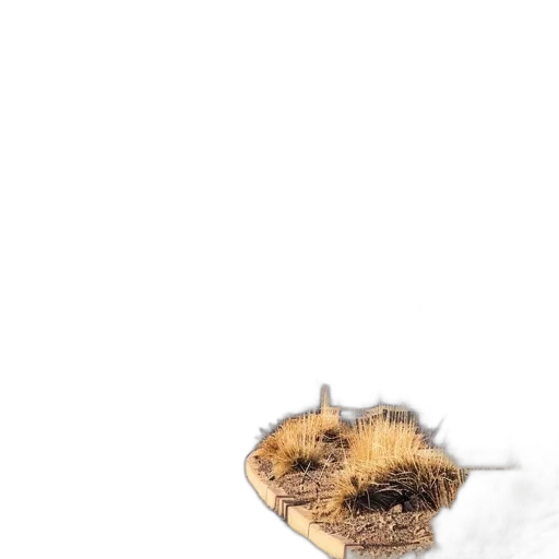 animal, hat, hair, creature transparent PNG cut-out