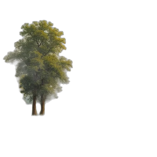 tree, crown, creature, hair transparent PNG cut-out