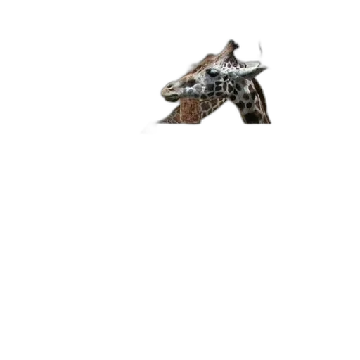 dragon, animal, robot, weapon transparent PNG cut-out