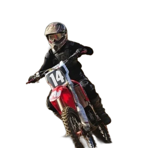 animal, jacket, weapon, photorealistic transparent PNG cut-out