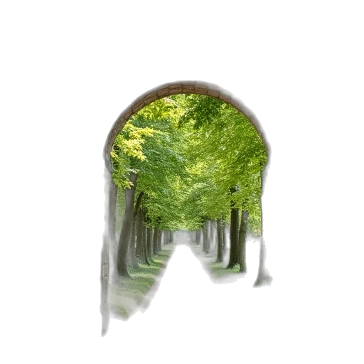 tree, hat, mask, crown transparent PNG cut-out