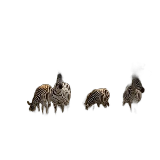 animal, creature, hair, dragon transparent PNG cut-out