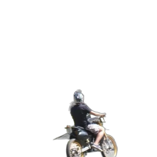 robot, animal, jacket, creature transparent PNG cut-out