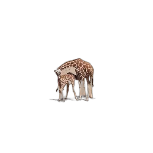 animal, creature, umbrella, furniture transparent PNG cut-out