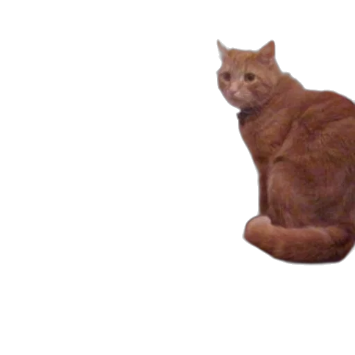 animal, creature, staff, robot transparent PNG cut-out