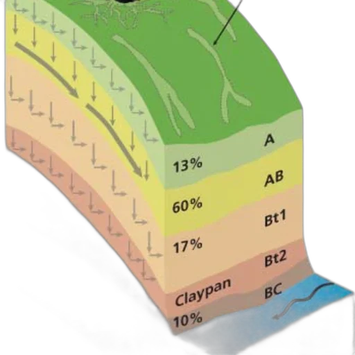detailed, soil, profile, diagram transparent PNG cut-out