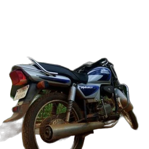 animal, jacket, car, dragon transparent PNG cut-out