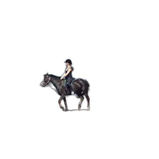 staff, animal, hat, crown transparent PNG cut-out