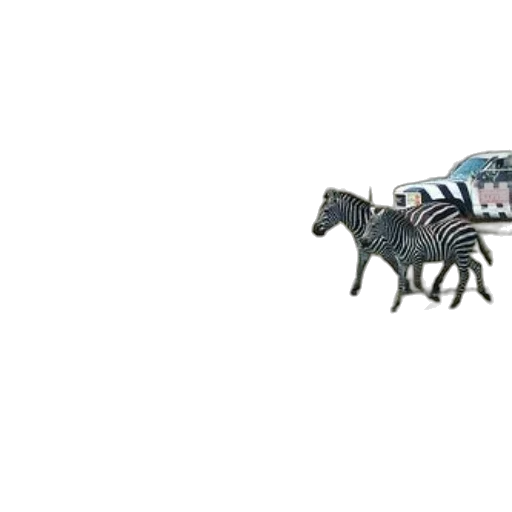 animal, robot, creature, dragon transparent PNG cut-out