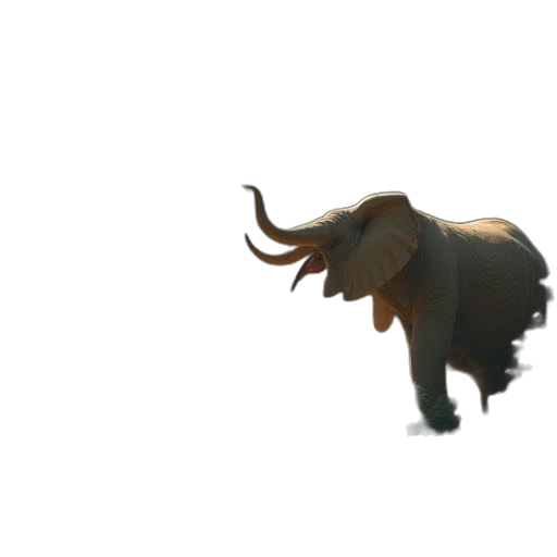 animal, creature, hair, staff transparent PNG cut-out