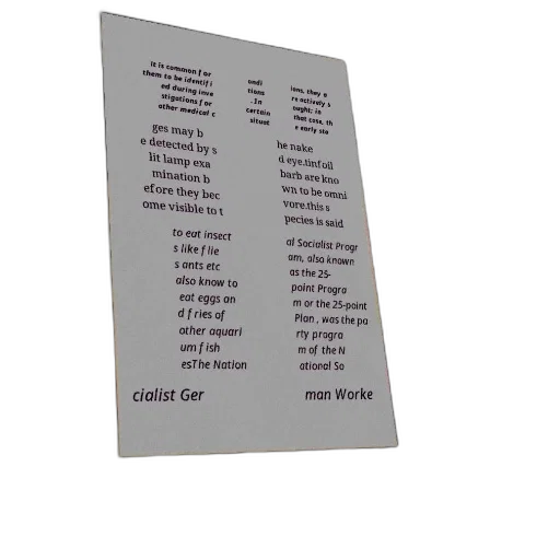 3d render, text-heavy, image, white transparent PNG cut-out