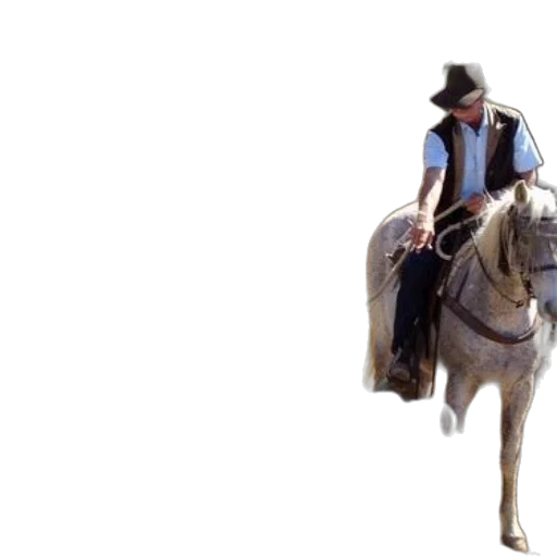 hat, animal, staff, sword transparent PNG cut-out