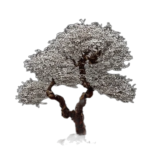 tree, crown, hair, jewelry transparent PNG cut-out