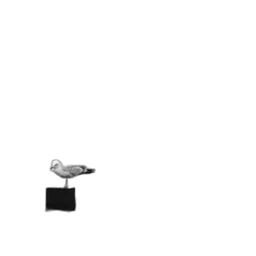 shoes, robot, jewelry, furniture transparent PNG cut-out