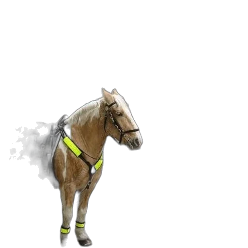 animal, creature, staff, robot transparent PNG cut-out