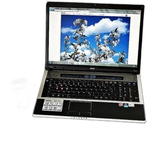 3d render, laptop, flower, screen transparent PNG cut-out