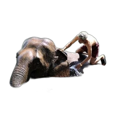 animal, creature, mask, staff transparent PNG cut-out