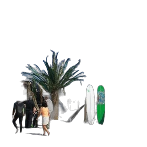 animal, creature, tree, weapon transparent PNG cut-out