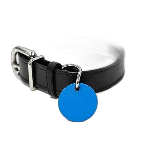 jewelry, staff, weapon, black transparent PNG cut-out