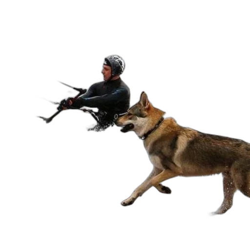 animal, creature, weapon, staff transparent PNG cut-out