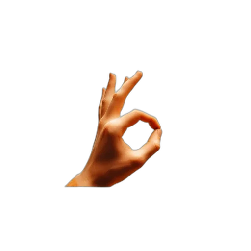jewelry, creature, hair, animal transparent PNG cut-out