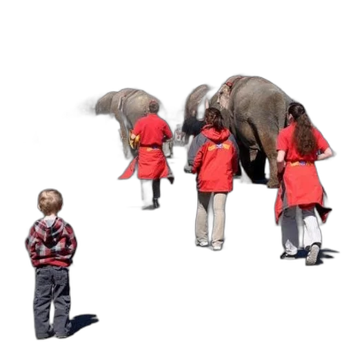 animal, staff, concept art, group transparent PNG cut-out