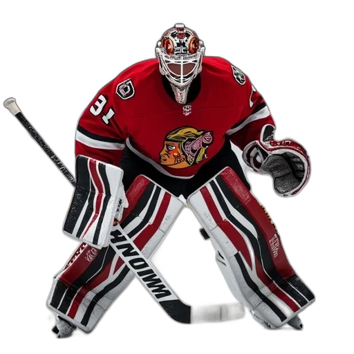 animal, mask, nhl, goaltenders transparent PNG cut-out
