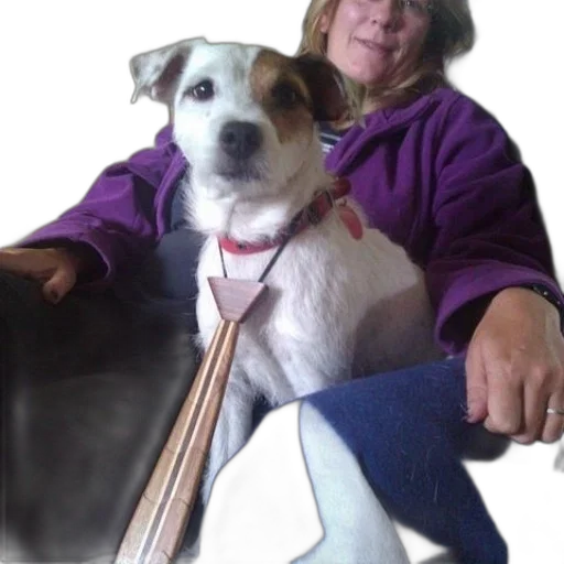 staff, animal, woman, purple transparent PNG cut-out