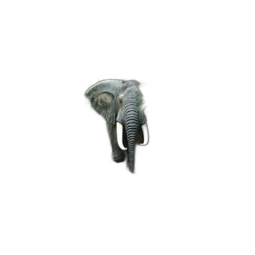 animal, staff, jewelry, furniture transparent PNG cut-out