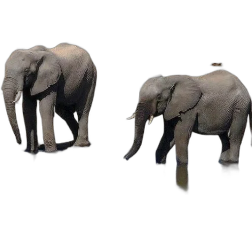 animal, creature, jewelry, shoes transparent PNG cut-out