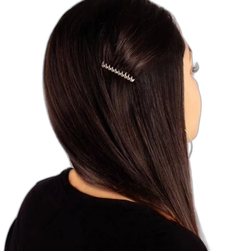 hair, jewelry, staff, crown transparent PNG cut-out