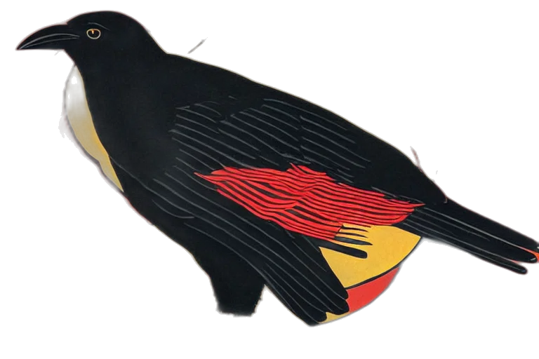 animal, mask, shoes, hat transparent PNG cut-out