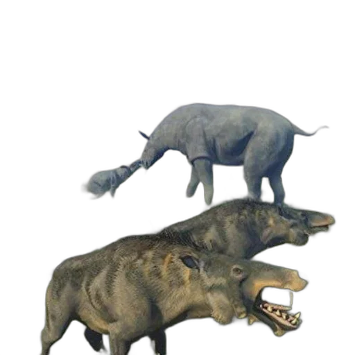 animal, creature, dragon, concept art transparent PNG cut-out
