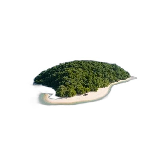 hat, tree, crown, hair transparent PNG cut-out